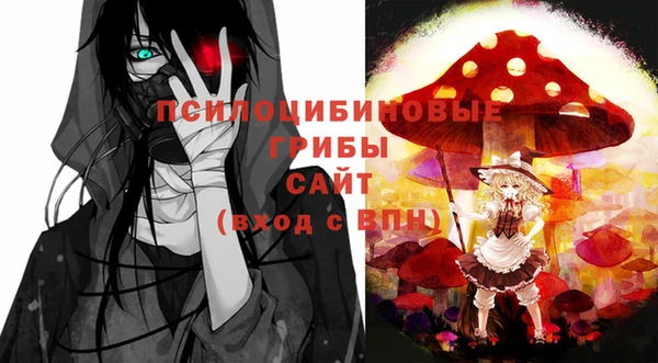 тгк Беломорск